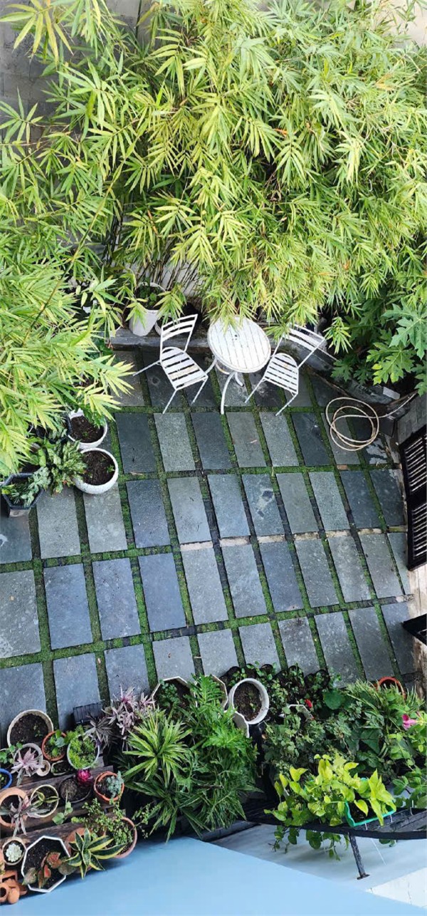 GIÁ TỐT - CẦN BÁN NHANH Villa Mini Kiệt Chế Lan Viên Đà Nẵng - Khu Sầm Uất, Đông Đúc - Ảnh 3