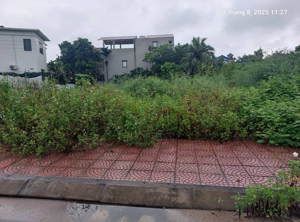 Đất Đấu giá Tổ 4, Quang Minh, 125m2, mt7m, 7.5 tỷ, Mê Linh. - Ảnh chính