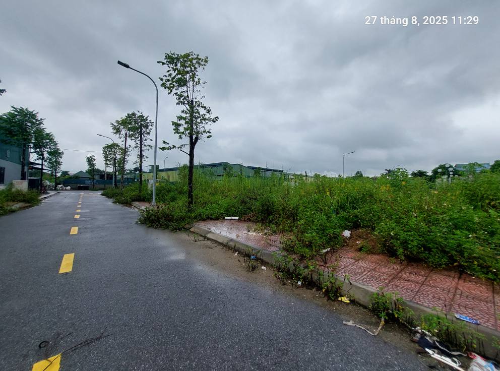 Đất Đấu giá Tổ 4, Quang Minh, 125m2, mt7m, 7.5 tỷ, Mê Linh. - Ảnh 1