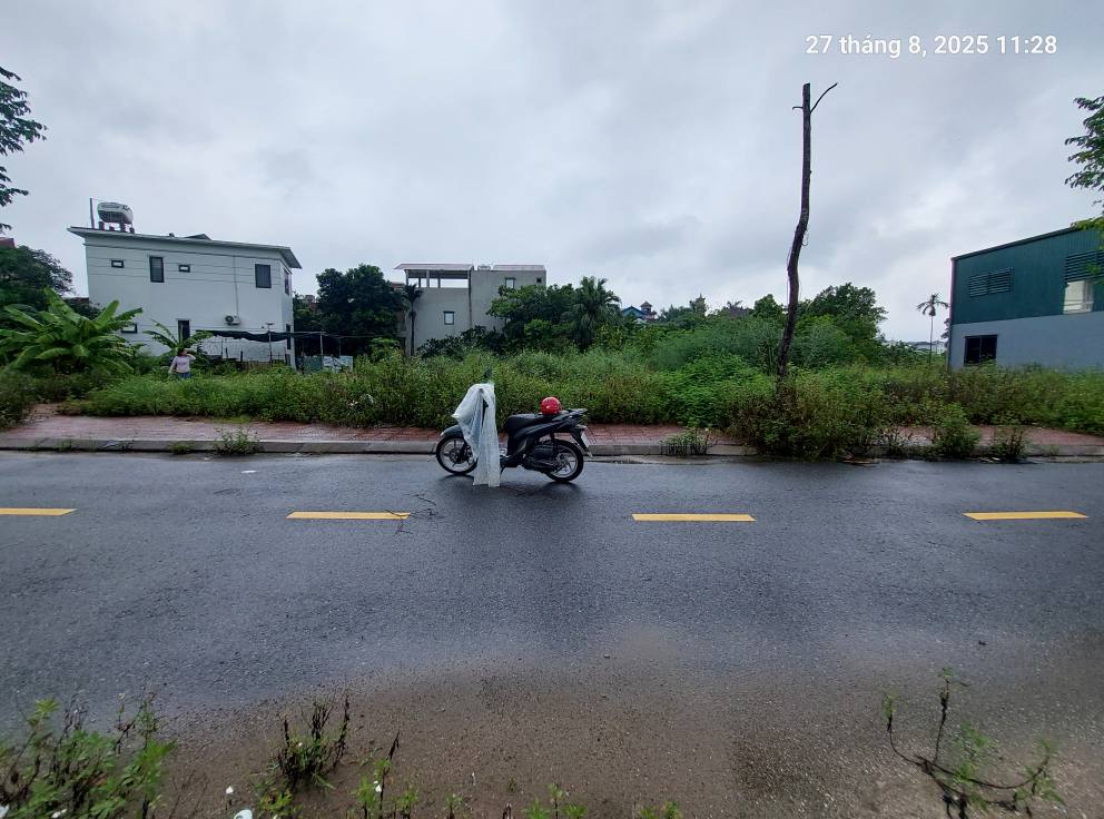 Đất Đấu giá Tổ 4, Quang Minh, 125m2, mt7m, 7.5 tỷ, Mê Linh. - Ảnh 3