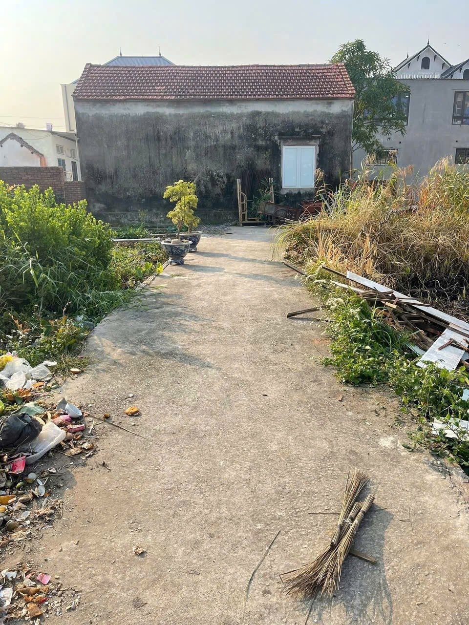 💥 ĐẤT NGÕ 92 HẢI PHONG – GẦN VINHOMES DƯƠNG KINH – GIÁ CHỈ 9XX TRIỆU!!! - Ảnh chính
