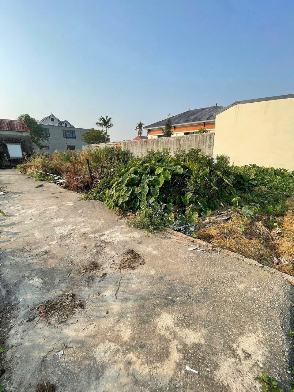 💥 ĐẤT NGÕ 92 HẢI PHONG – GẦN VINHOMES DƯƠNG KINH – GIÁ CHỈ 9XX TRIỆU!!! - Ảnh 4