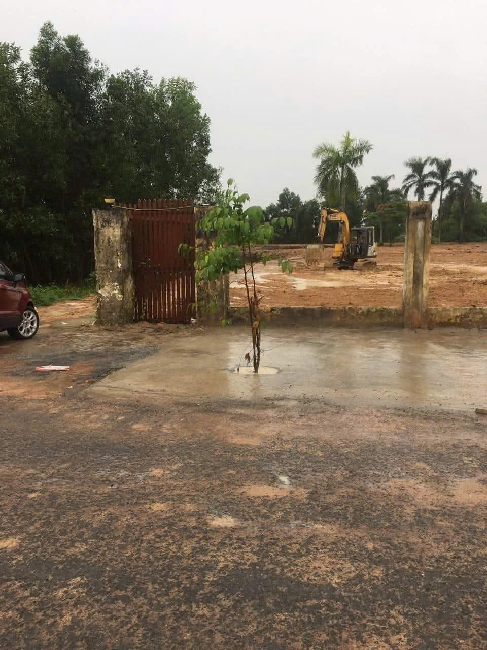 Cần Bán Nhanh Lô Đất 7000m² (Có 300m² Thổ Cư) Kèm Nhà Cấp 4, Mặt Tiền Đường Nhựa Cá Lăng, Phú Hòa - Ảnh 2