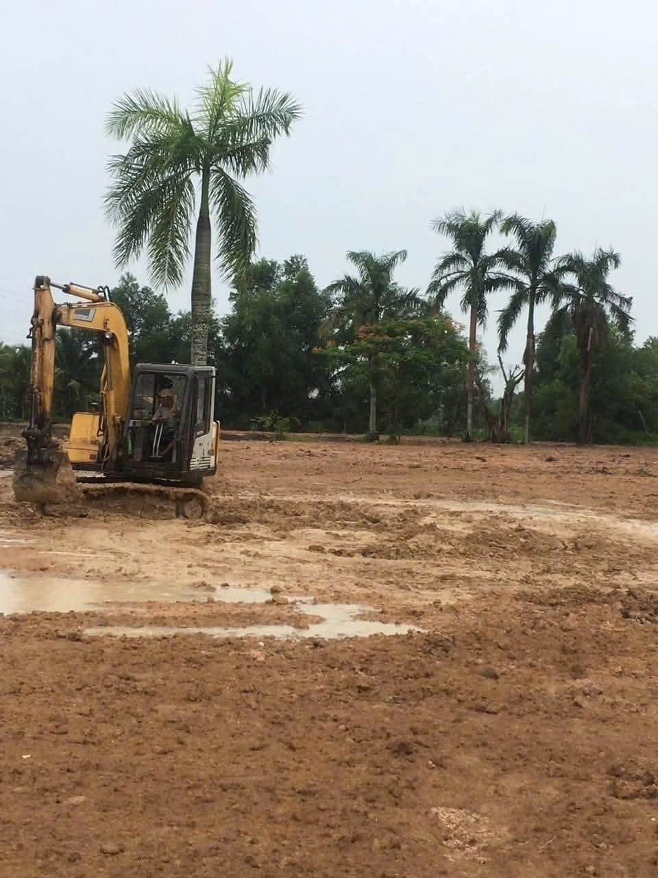 Cần Bán Nhanh Lô Đất 7000m² (Có 300m² Thổ Cư) Kèm Nhà Cấp 4, Mặt Tiền Đường Nhựa Cá Lăng, Phú Hòa - Ảnh 3