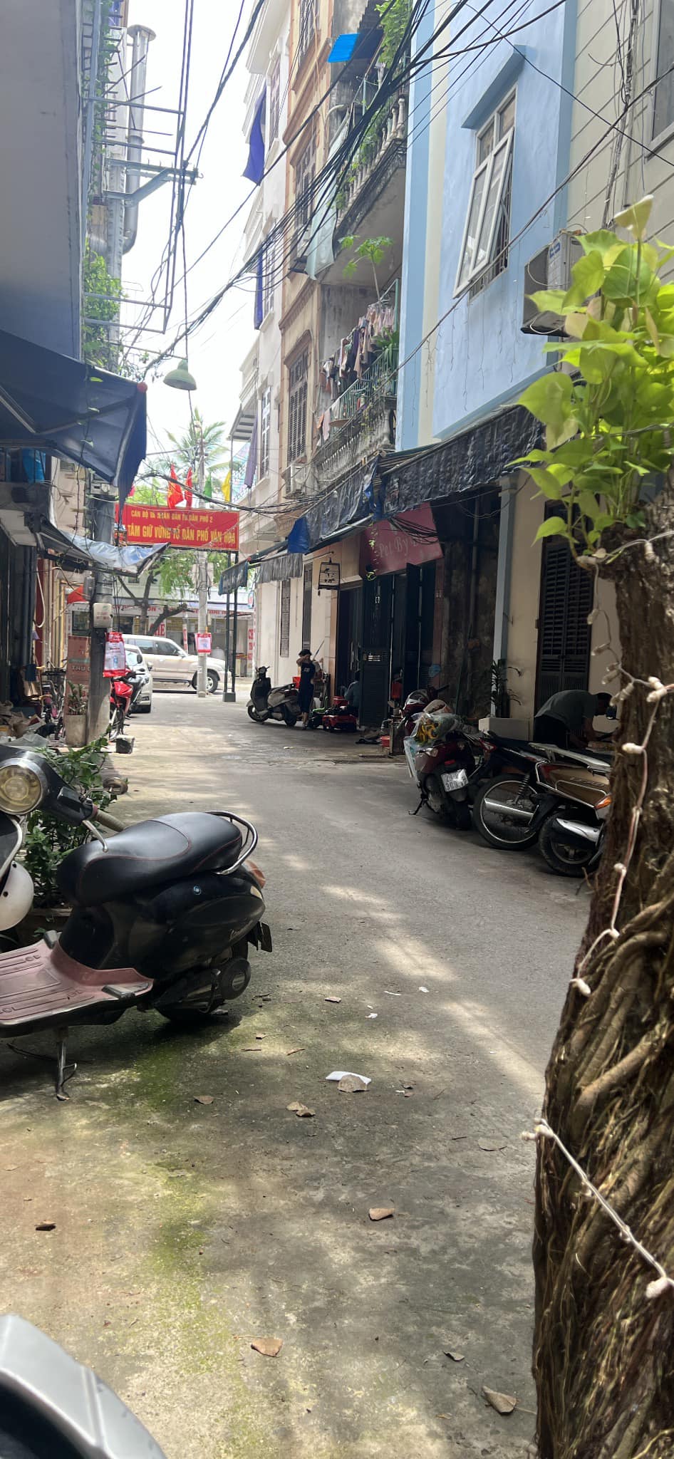 GIÁ TỐT GIÁ TỐT BÁN NHÀ LÊ HỒNG PHONG HÀ ĐÔNG  PHÂN LÔ_OTO TRÁNH_NHÀ 4 TẦNG VỊ TRÍ ĐẸP - Ảnh 1