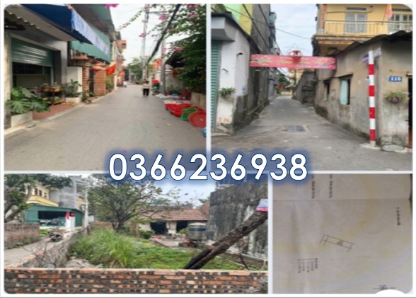🔶Bán đất tại Thuận Quang (Dương Xá), Gia Lâm, Hà Nội - 0366236938 - Ảnh chính
