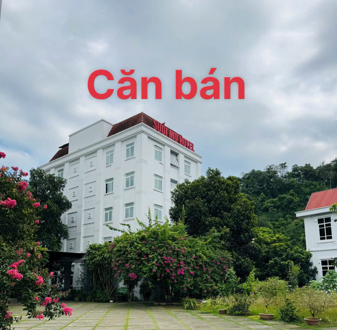 CHÍNH CHỦ CHO THUÊ VÀ CHUYỂN NHƯỢNG BẤT ĐỘNG SẢN TẠI TRUNG TÂM - Số 725 Đường Điện Biên - P Minh - Ảnh 2
