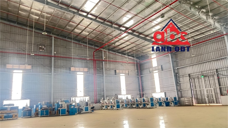 XT498 nhà xưởng sản xuất kinh doanh linh hoạt nhiều ngành nghề, bàn giao liền - Ảnh 3