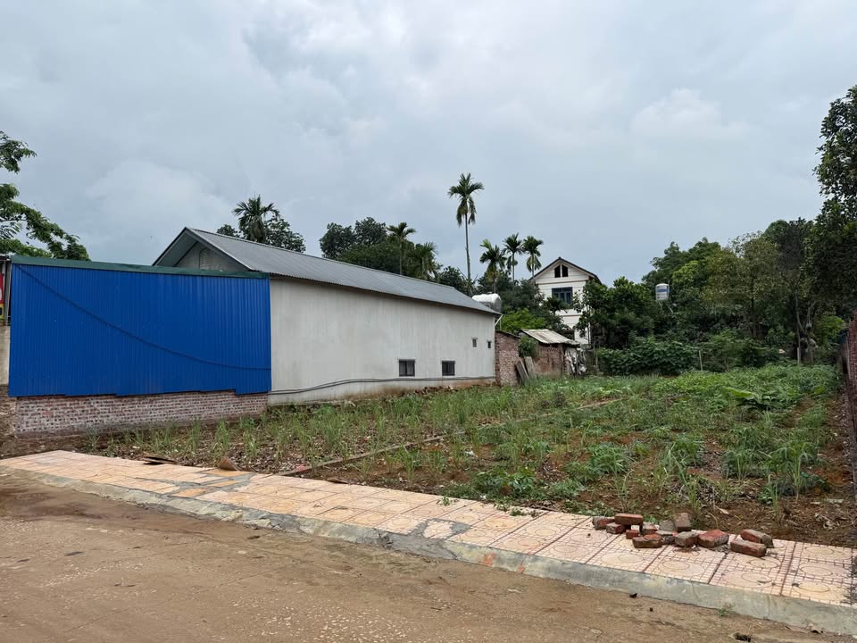 200m2 rẻ nhất Hòa Thạch - Quốc Oai 100m TC, cách UBND , cách đường Hòa Thạch 100m, 30 triệu/m2 - Ảnh chính