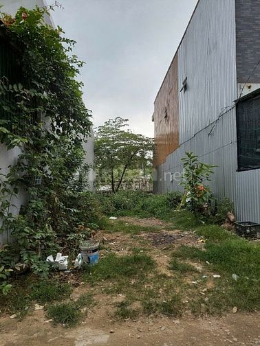 Bán đất chính chủ- Vị trí siêu tiềm năng gần làng Đại học Huế - Ảnh 1