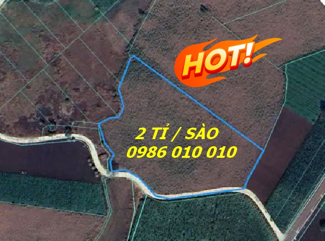 Bán đất xã Láng dài, Bà Rịa Vũng Tàu - Ảnh chính