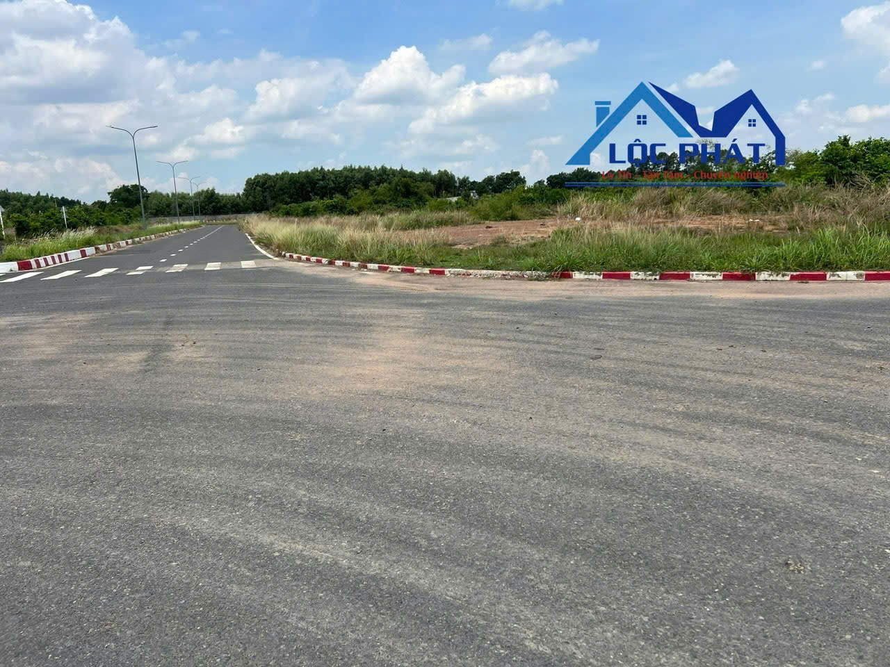 Bán đất 3ha KCN Giang Điền - Đồng Nai giá tốt 185usd/m2 - Ảnh 3