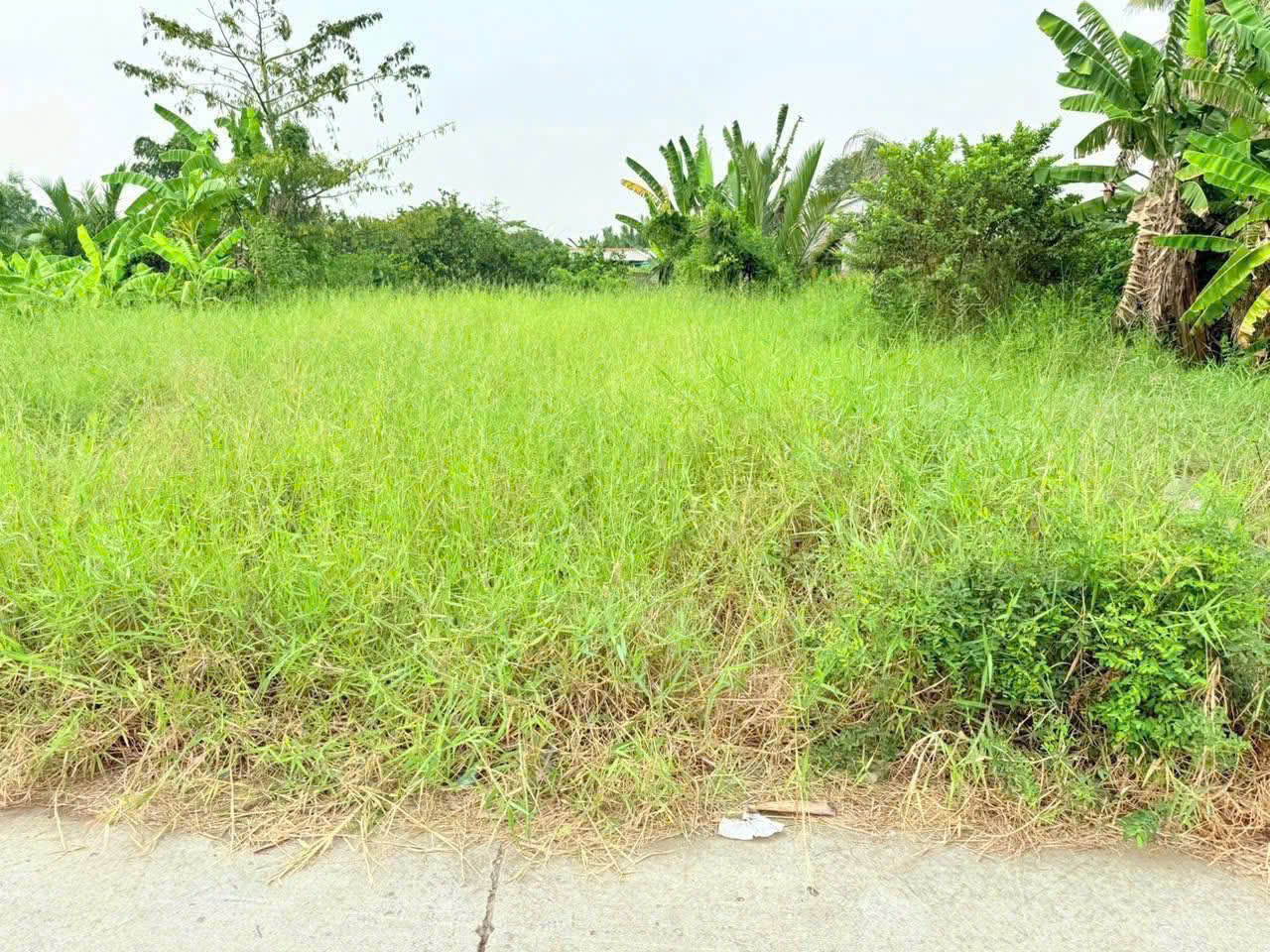 ĐẤT ĐẸP – MẶT TIỀN - Chính Chủ Bán Lô Đất Tiềm Năng Đường Trần Văn Đức, Bình Lãng, Tân Trụ, Long An - Ảnh 3