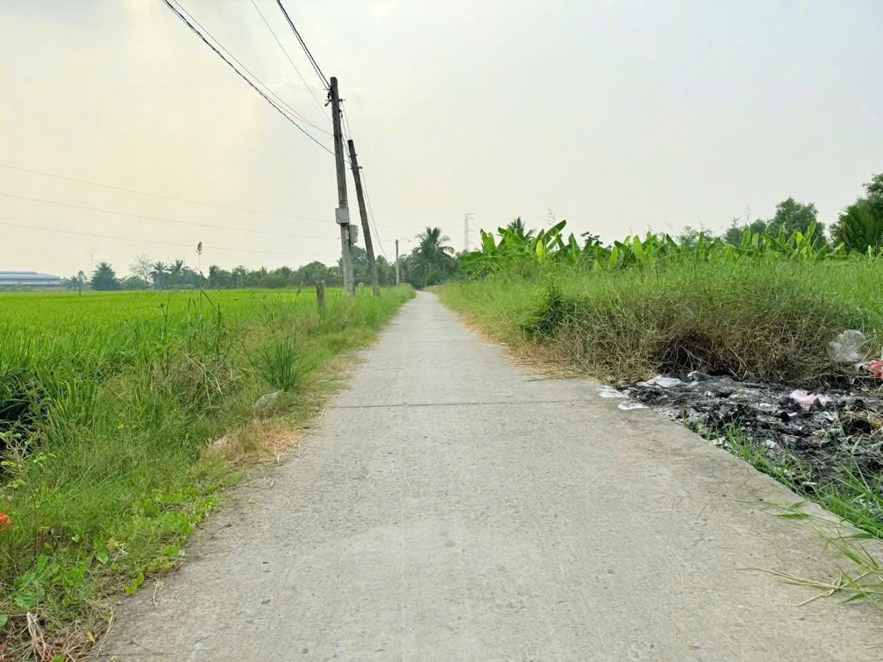 ĐẤT ĐẸP – MẶT TIỀN - Chính Chủ Bán Lô Đất Tiềm Năng Đường Trần Văn Đức, Bình Lãng, Tân Trụ, Long An - Ảnh 4