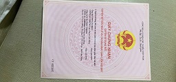 CHÍNH CHỦ CẦN BÁN ĐẤT ĐẸP TẠI PHƯỜNG 7 – ĐÀ LẠT - Ảnh 4