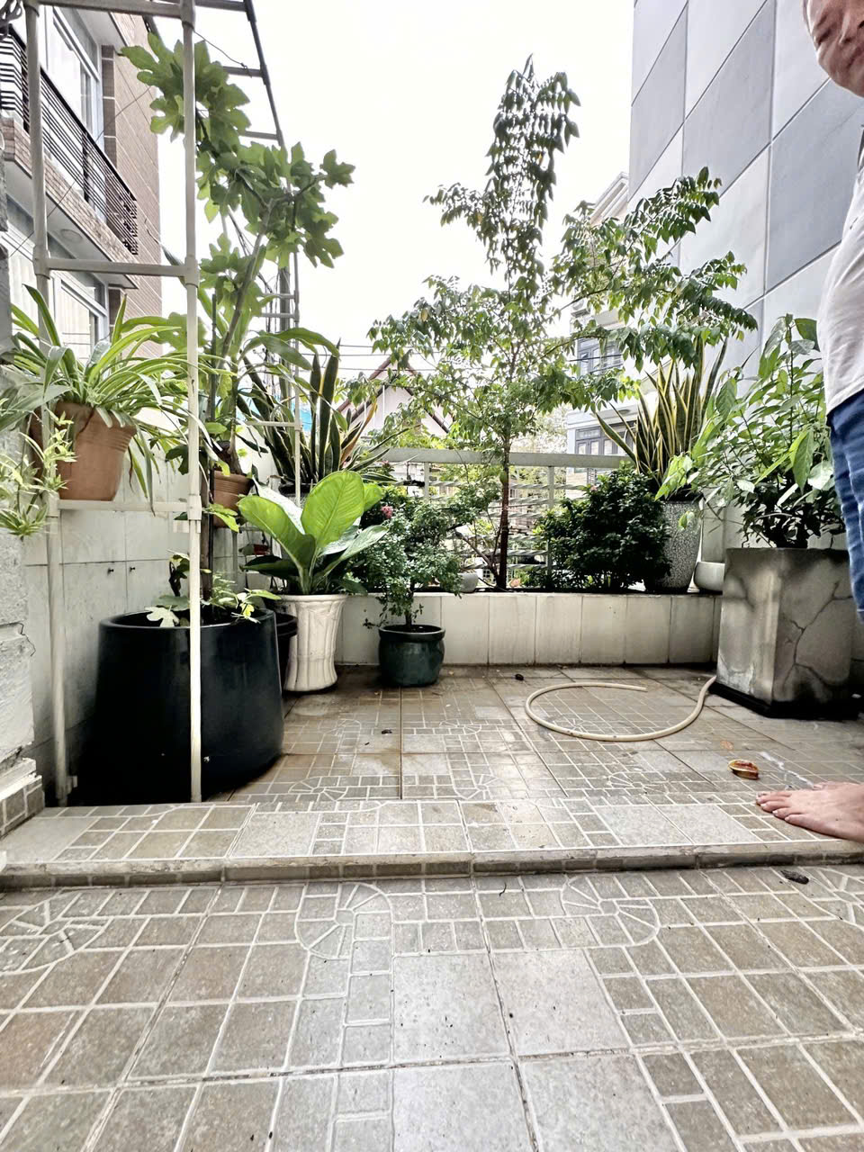 MẶT TIỀN HXH TRÁNH - PHÚ NHUẬN - HOÀNG HOA THÁM - KINH DOANH ĐA NGÀNH NGHỀ - 4 TẦNG HOÀN CÔNG ĐỦ - - Ảnh 1