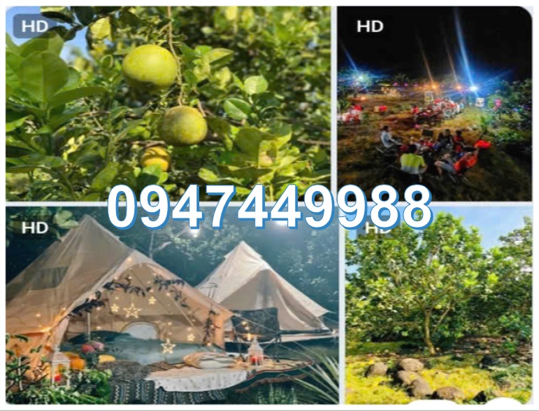 ⭐Bán 3000m2 đất ở Phường Bình Lộc (Long Khánh cũ), tỉnh Đồng Nai. 0947449988 - Ảnh chính