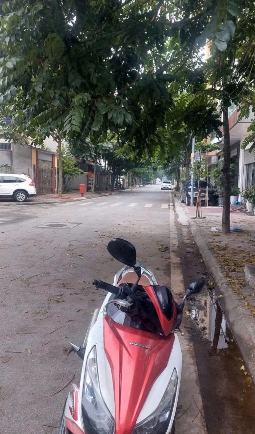 Bán lô đất nhà vườn mặt phố Trần Khắc Chung, KĐT Tuệ Tĩnh, Tây HP, 95m2, mt 5m, 5.x tỷ - Ảnh chính