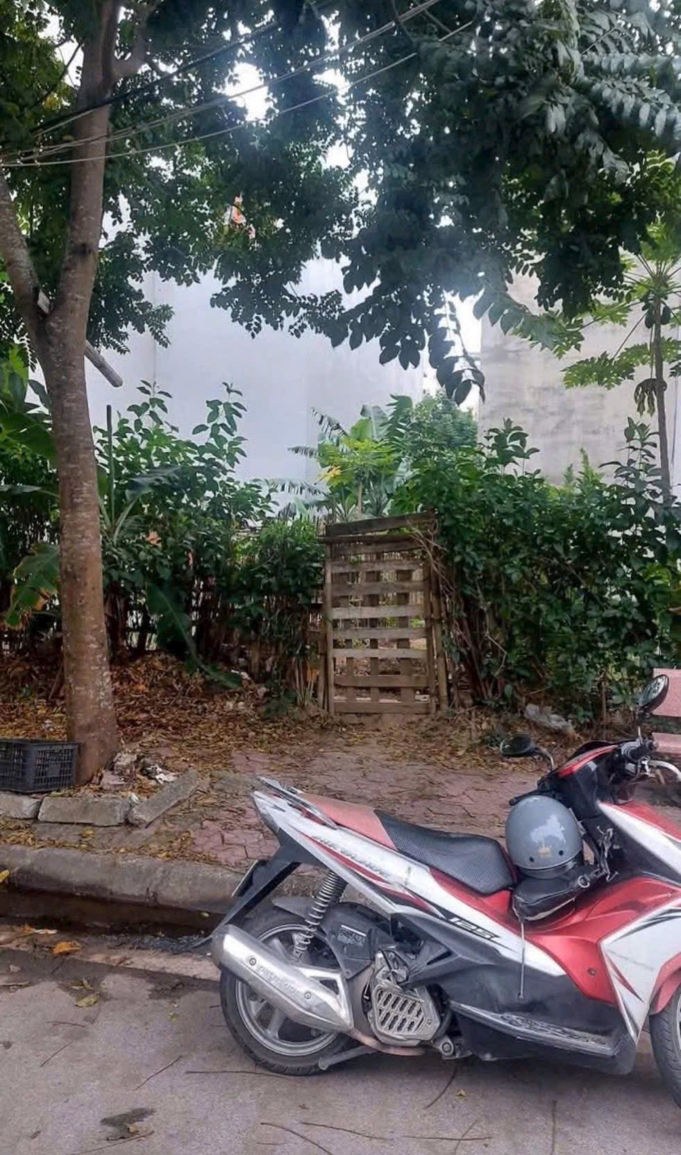 Bán lô đất nhà vườn mặt phố Trần Khắc Chung, KĐT Tuệ Tĩnh, Tây HP, 95m2, mt 5m, 5.x tỷ - Ảnh 1
