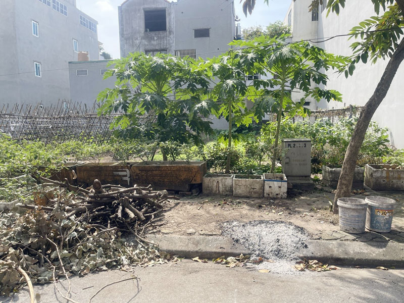 Cơ hội đầu tư: Đất 80m2 TĐC Kiêu Kỵ, đường bàn cờ, có vỉa hè, ô tô đỗ - Tiềm năng tăng giá lớn - Ảnh 4