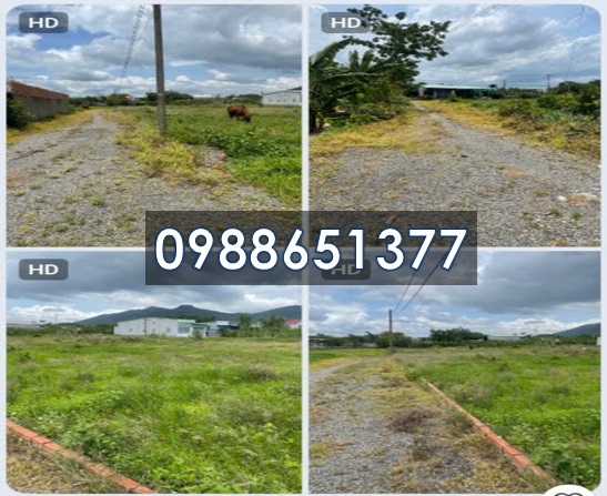 ⭐Bán đất chính chủ 2MT xã Châu Pha (Phú Mỹ, BRVT), TP.HCM, 0988651377 - Ảnh chính