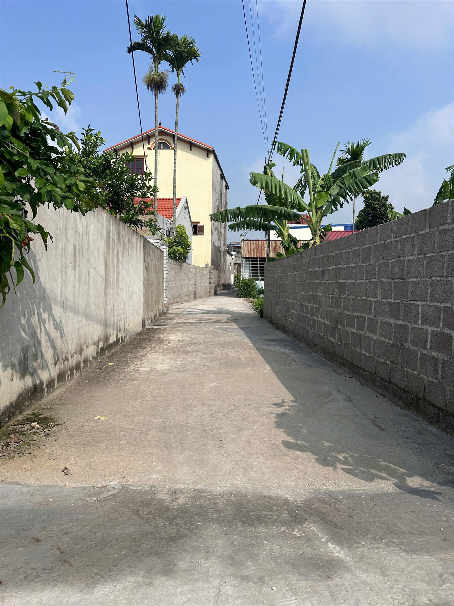 5xx Triệu Có Ngay Lô Đất 67m² (60m² Thổ Cư) Tại Úc Gián – Thuận Thiên – Kiến Thụy LH 0793250588 - Ảnh 3