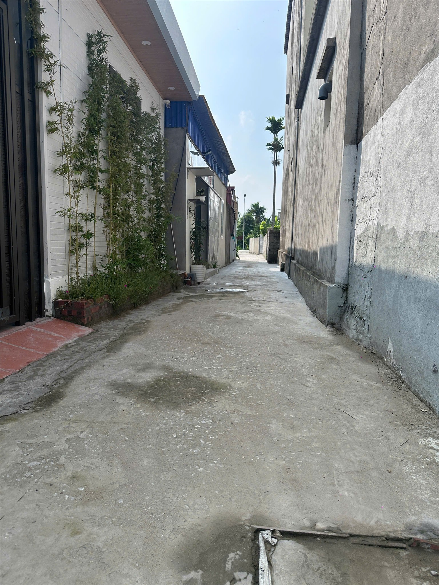 5xx Triệu Có Ngay Lô Đất 67m² (60m² Thổ Cư) Tại Úc Gián – Thuận Thiên – Kiến Thụy LH 0793250588 - Ảnh chính