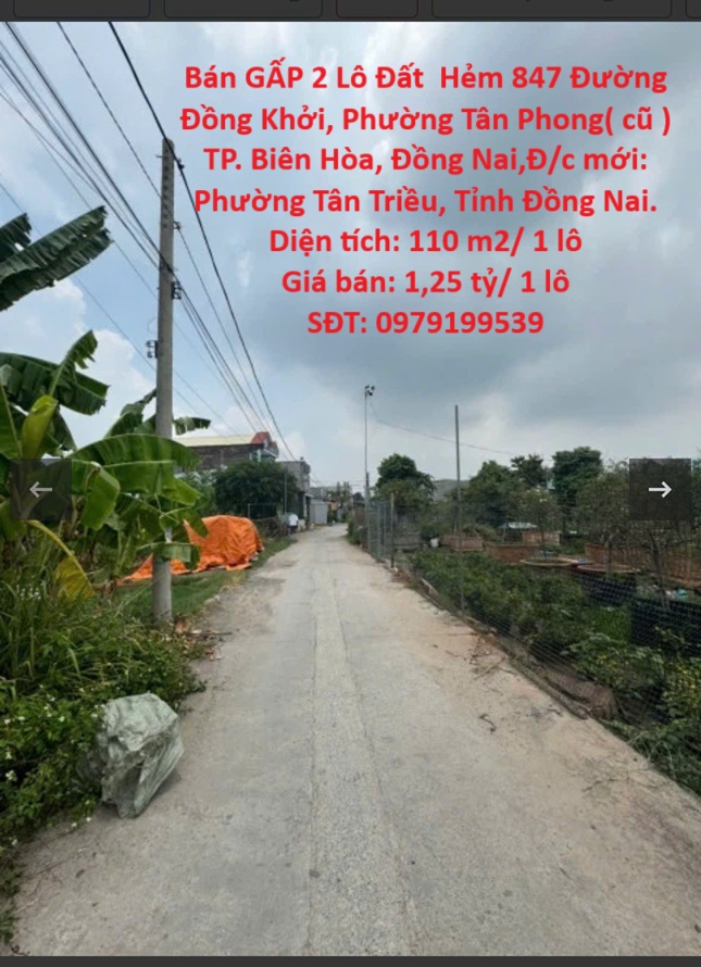 Chính Chủ Cần Bán GẤP 2 Lô Đất  Hẻm 847 Đường Đồng Khởi, Phường Tân Phong( cũ ) TP. Biên Hòa, Đồng - Ảnh chính