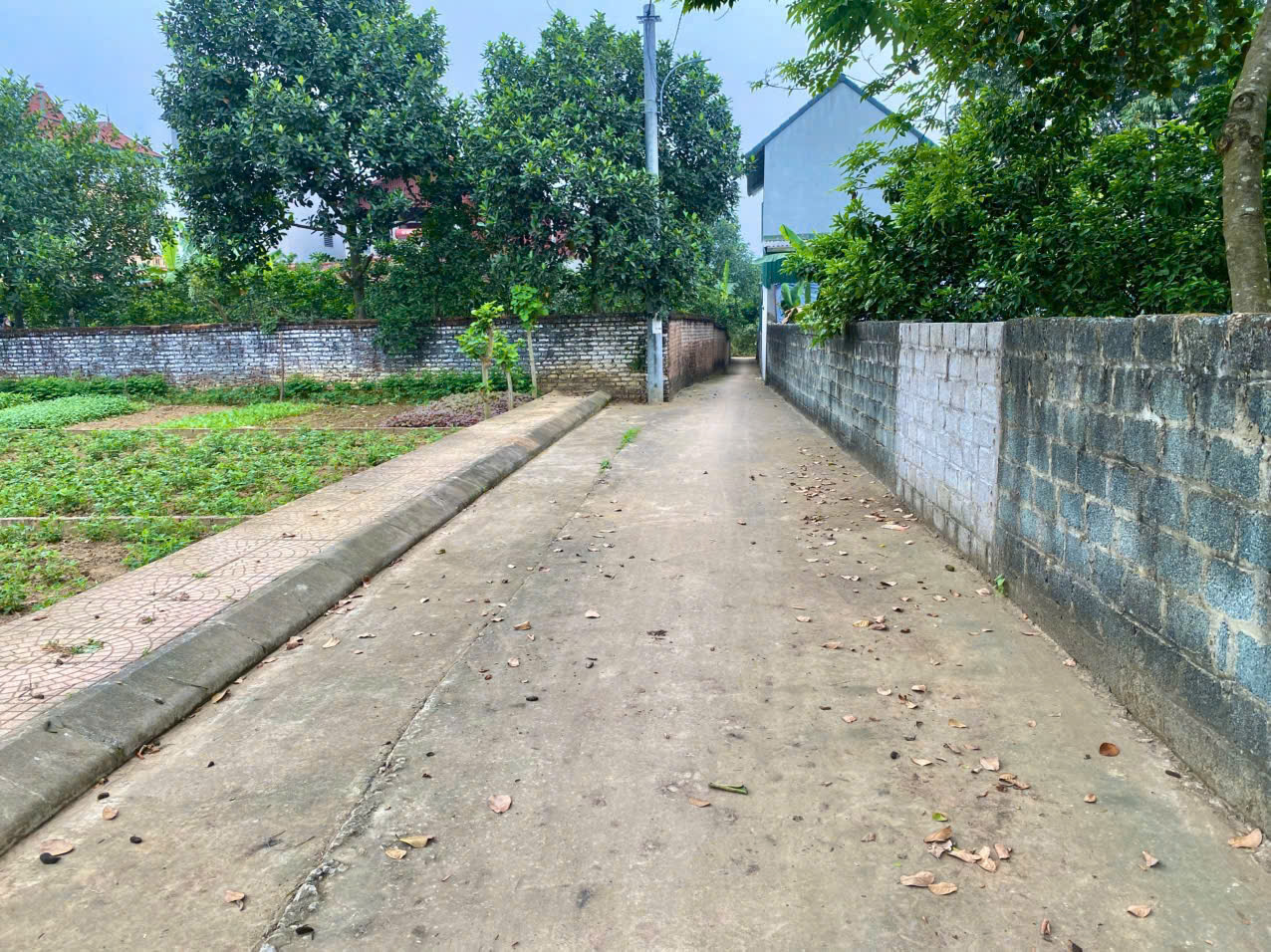 ĐẤT ĐẸP, ĐƯỜNG THÔNG 130M2 PHÚ CÁT, GIÁ RẺ - Ảnh 2
