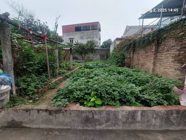 Chủ cũ tìm chủ mới 92m2, 4.6m, 5.75 tỷ, nở hậu, ô tô, thông, Việt Hùng, Đông Anh. - Ảnh chính