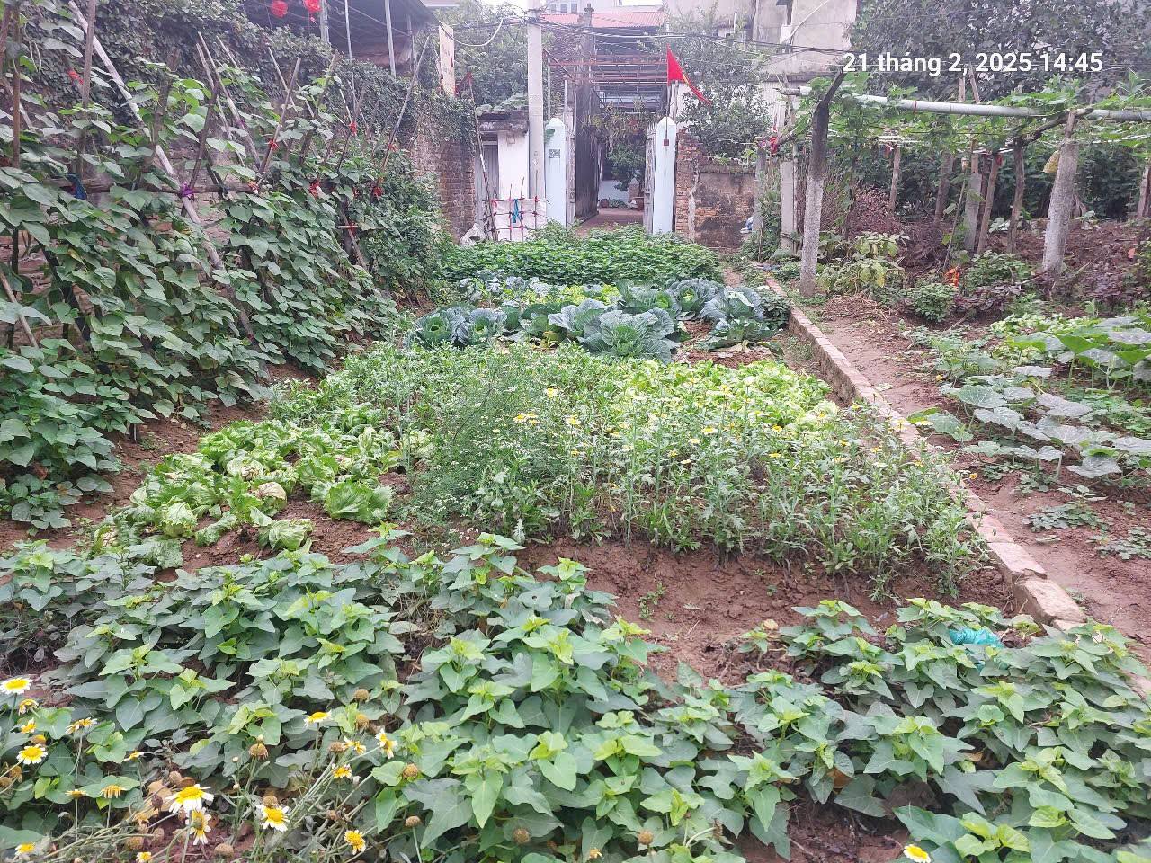 Chủ cũ tìm chủ mới 92m2, 4.6m, 5.75 tỷ, nở hậu, ô tô, thông, Việt Hùng, Đông Anh. - Ảnh 4