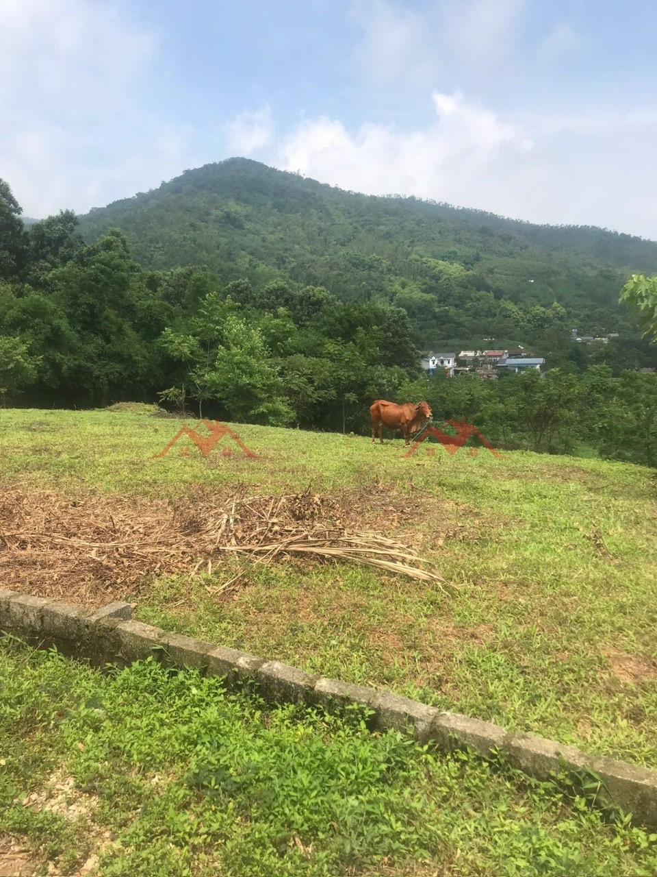 SIÊU HÓT BÁN LÔ ĐẤT NGHỈ DƯỠNG 3502M TẠI NAM PHƯƠNG TIẾN-CHƯƠNG MỸ-HÀ NỘI - Ảnh 3