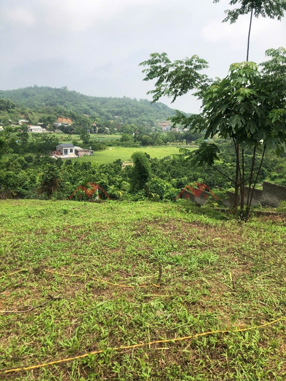 SIÊU HÓT BÁN LÔ ĐẤT NGHỈ DƯỠNG 3502M TẠI NAM PHƯƠNG TIẾN-CHƯƠNG MỸ-HÀ NỘI - Ảnh 2
