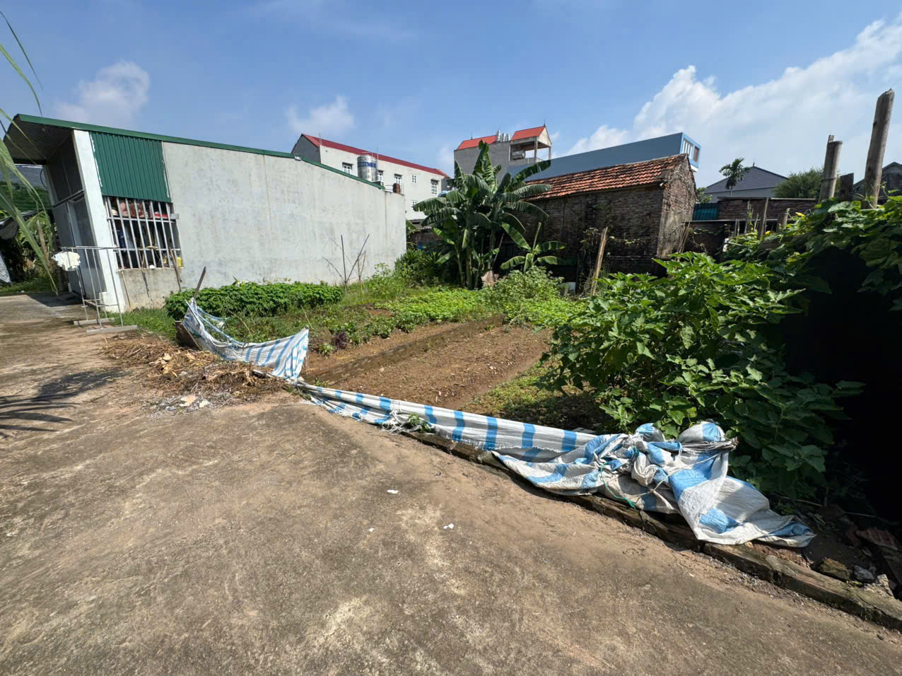 Bán 50m đất Tráng Việt, Mê Linh. Ô tô đỗ đất. Đi khu công nghiệp Bắc Thăng Long hết vài phút - Ảnh 1