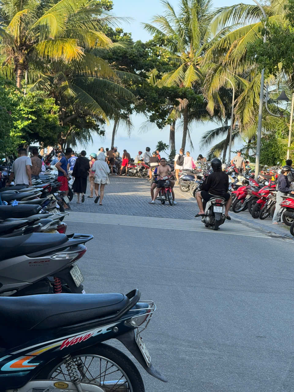 + Bán đất mặt tiền dài 21,7m, tặng nhà C4, diện tích rộng, mặt tiền đường mỹ đa đông 12, đối diện - Ảnh 1