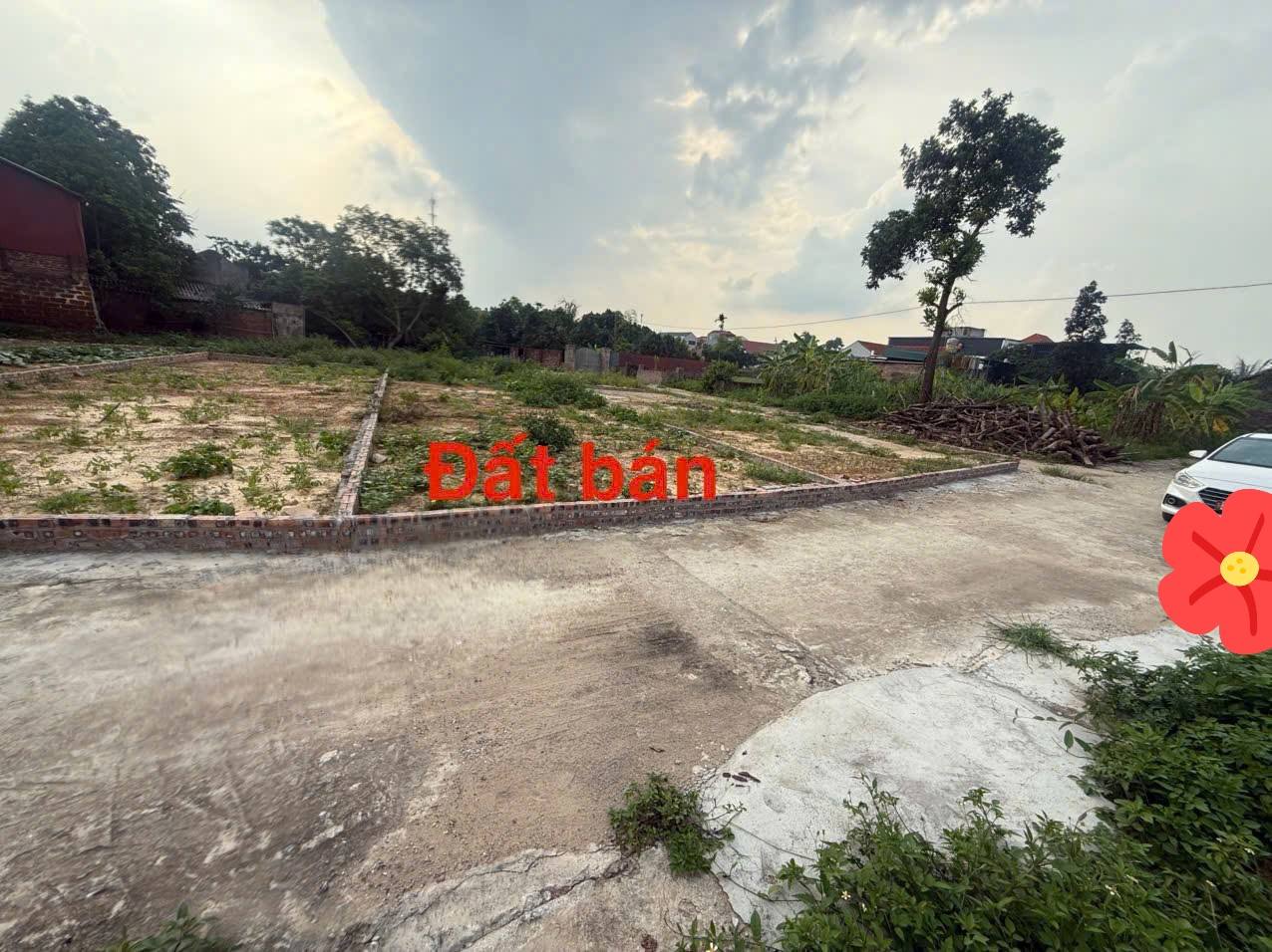Chủ nhờ bán đất 105m2, mt5.75m, lô góc 2.65 tỷ, Thanh Trí, Sóc Sơn. Ô tô thông, ngay chợ. - Ảnh chính