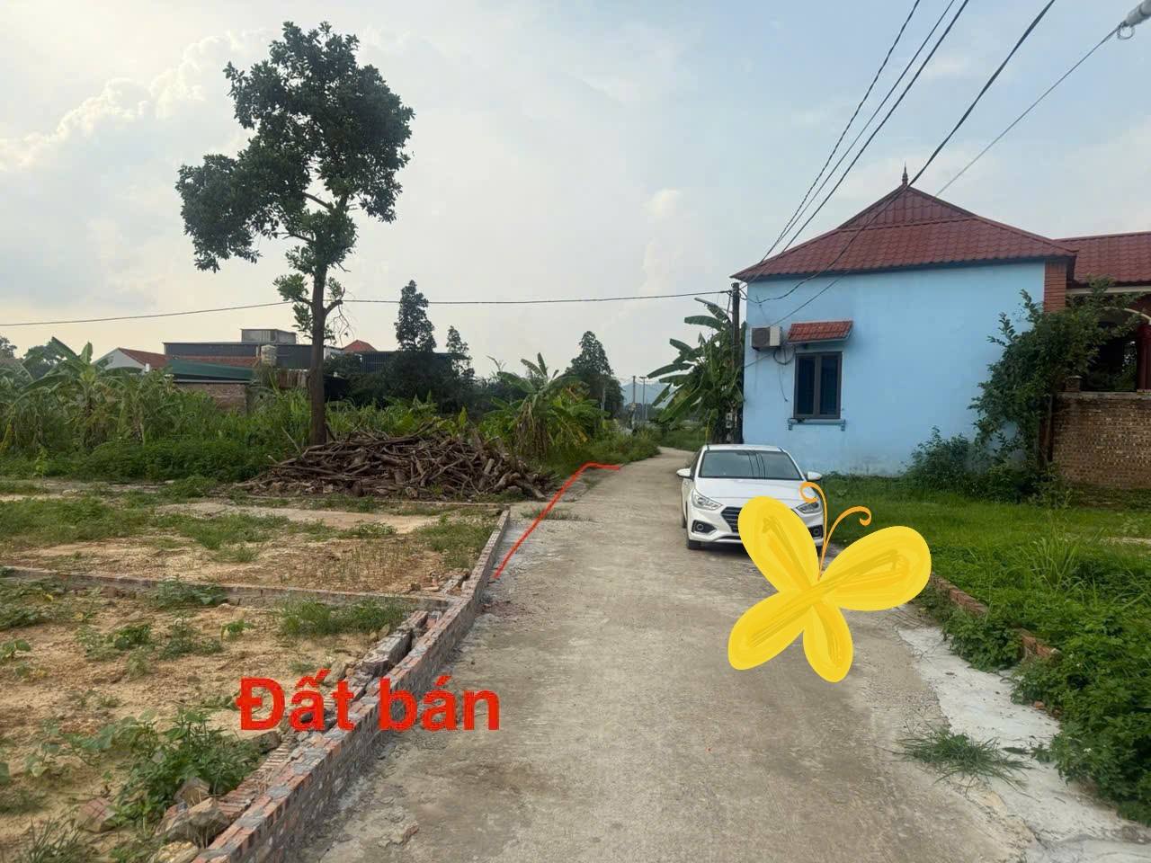 Chủ nhờ bán đất 105m2, mt5.75m, lô góc 2.65 tỷ, Thanh Trí, Sóc Sơn. Ô tô thông, ngay chợ. - Ảnh 2