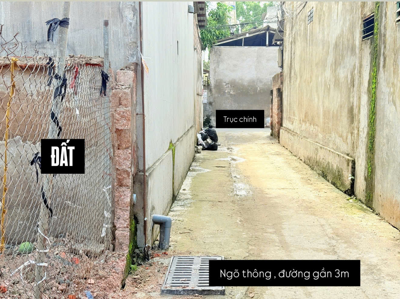 HOT !!! SỞ HỮU NGAY LÔ ĐẤT ĐẸP - GIÁ F0 - Vị Trí Đắc Địa Tại Phụng Thượng, Phúc Thọ, TPHN - Ảnh 1