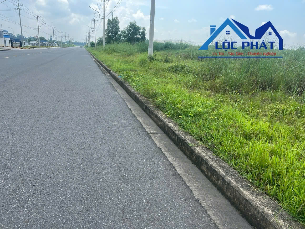 Bán đất SKK 1,8ha KCN Hố Nai, Trảng Bom, Đồng Nai 195Đ - Ảnh 2