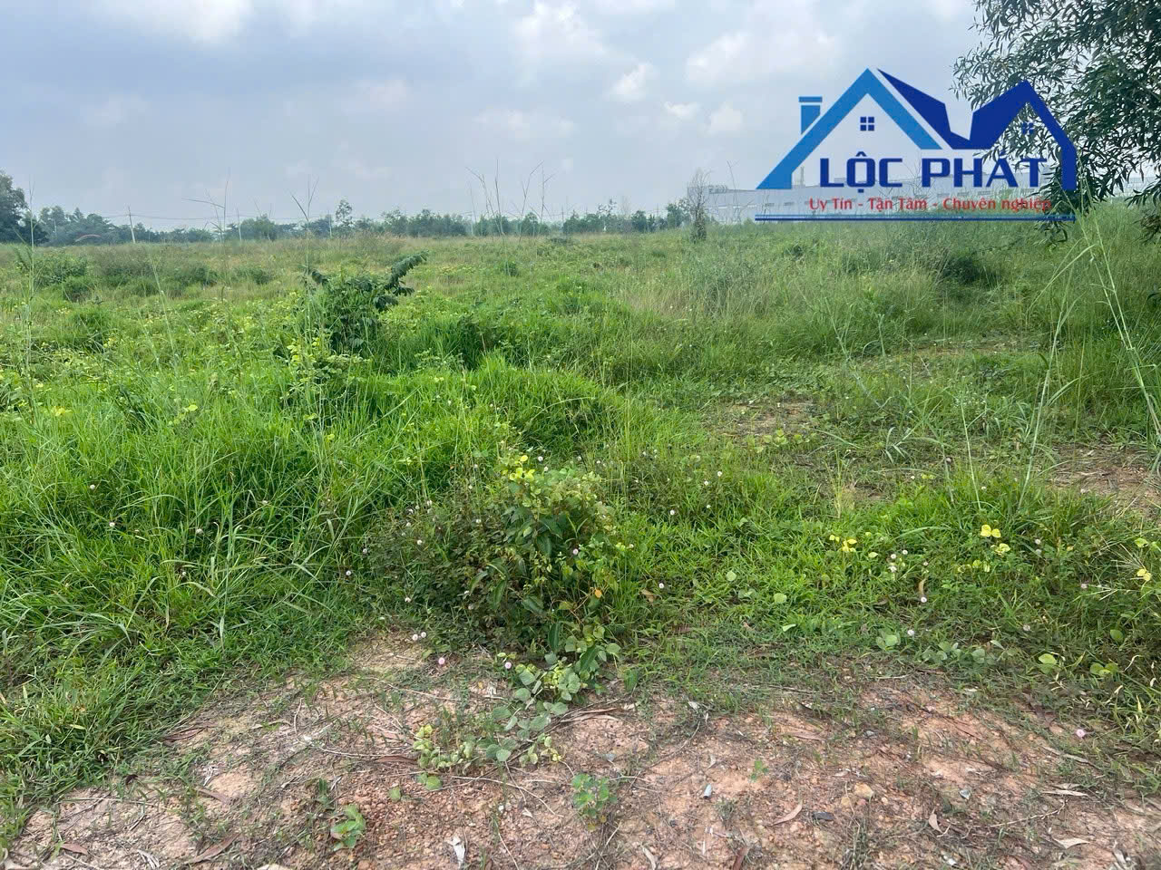 Bán đất SKK 1,8ha KCN Hố Nai, Trảng Bom, Đồng Nai 195Đ - Ảnh 4