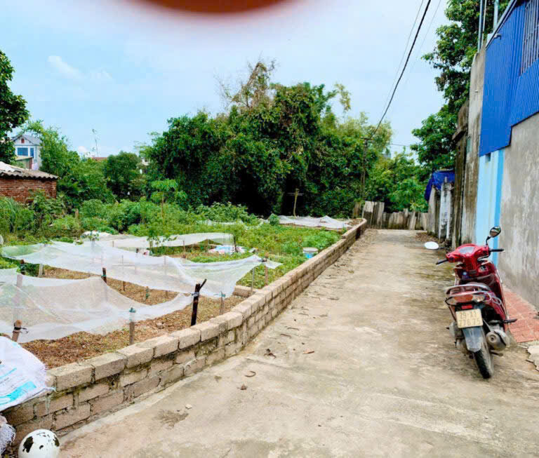 HÀNG HIẾM 47,1M TẠI TRUNG HÒA-CHƯƠNG MỸ-HÀ NỘI LÔ ĐẤT GIÁP KHU CÔNG NGHIỆP PHÚ NGHĨA - Ảnh 1