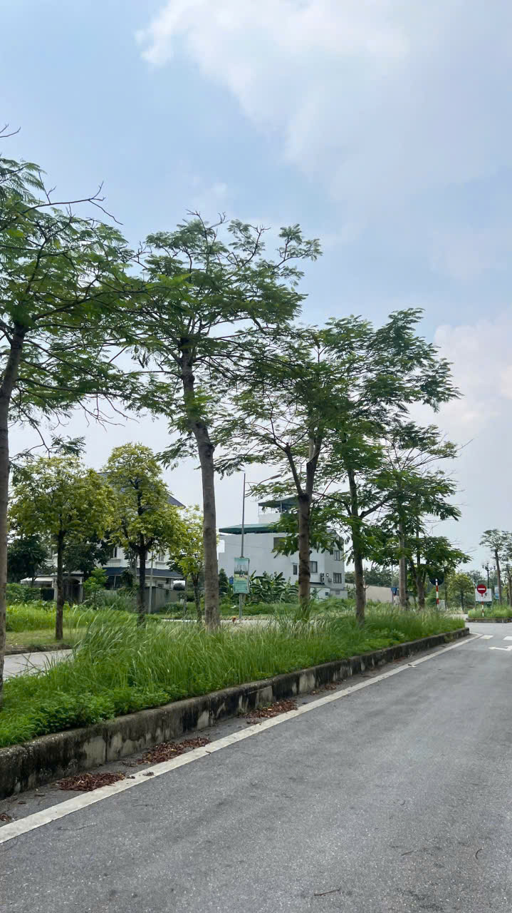 Bán đất Triệu Xá gần khu đô thị Ceo2-200m2 Mặt tiền 6.5m - Ảnh 1