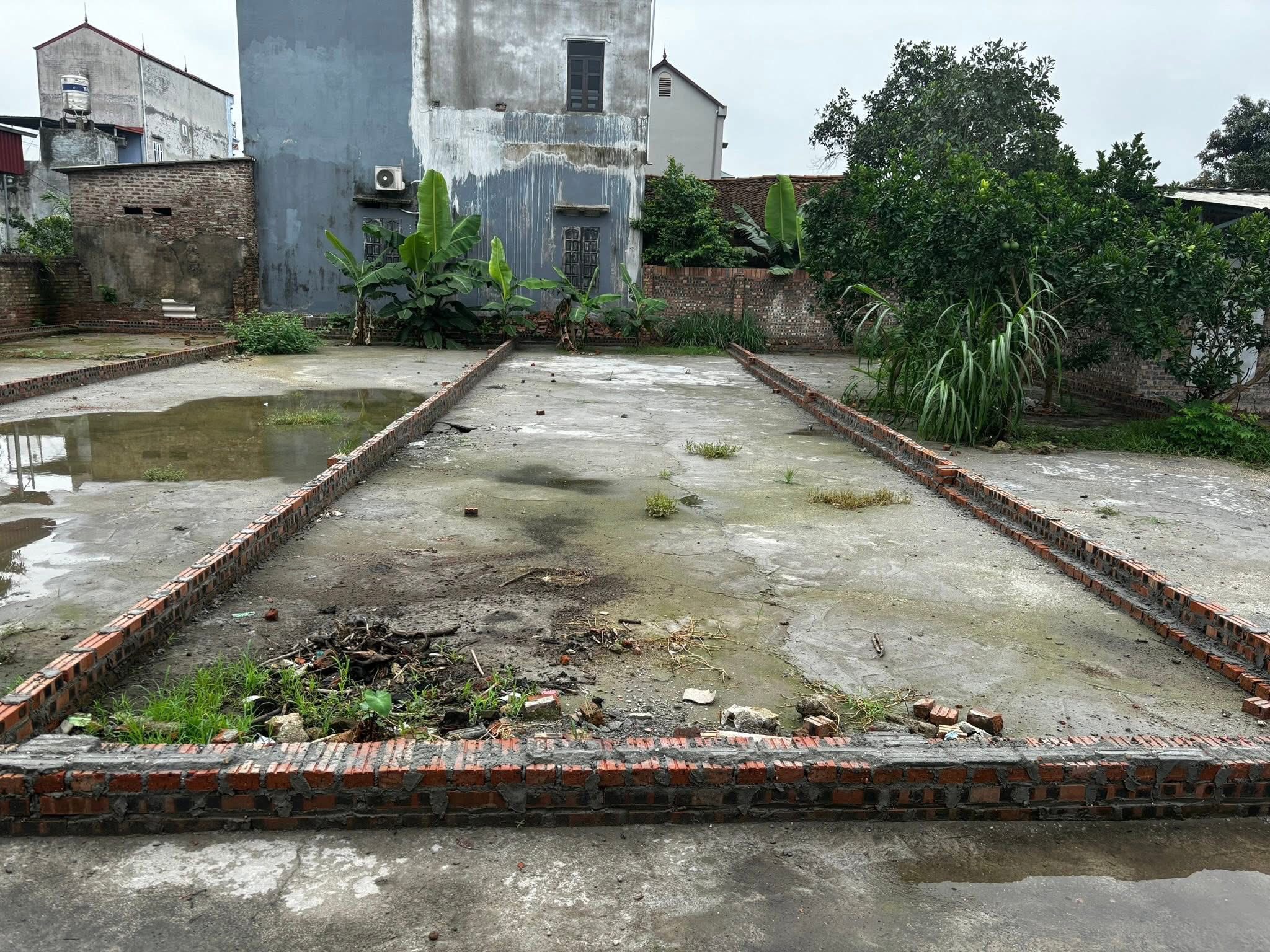 💥 CHÍNH CHỦ BÁN ĐẤT GIÁ RẺ – THÔN TUYỀN, ĐÔNG XUÂN, SÓC SƠN 💥 - Ảnh 2