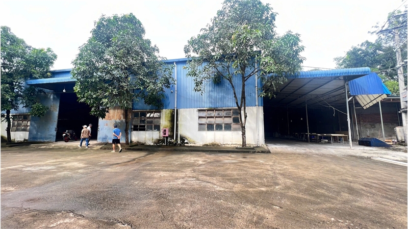 X105 Bán xưởng sản xuất, đất chuyển đổi 1 phần, thiết kế nhà xưởng kiên cố - Ảnh chính