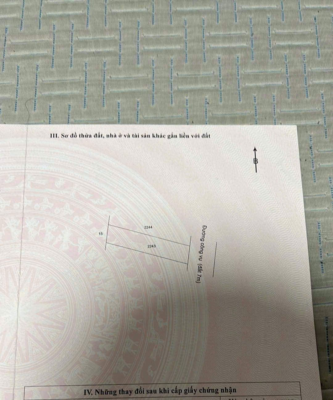 Chính chủ cần bán miếng đất ở Mỹ Hạnh Bắc, Đức Hòa, Long An. - Ảnh chính