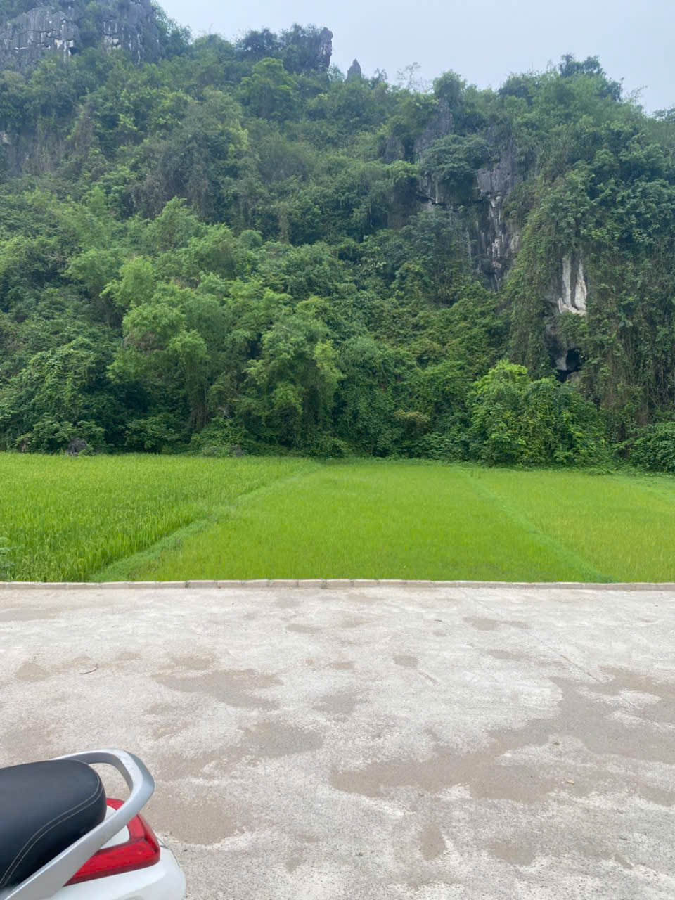 BÁN LÔ ĐẤT ĐẸP GIÁ TỐT TẠI THÔN CHÂU DỀ, XÃ CAO DƯƠNG, LƯƠNG SƠN, HÒA BÌNH - Ảnh 1