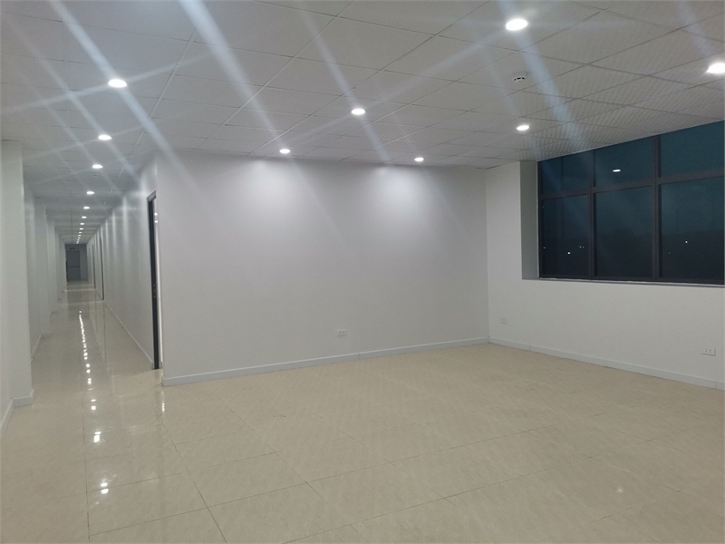 XTAmata Xưởng sản xuất cho thuê ổn định lâu dài, KCN CNC thu hút đầu tư nhiều ngành nghề - Ảnh 3