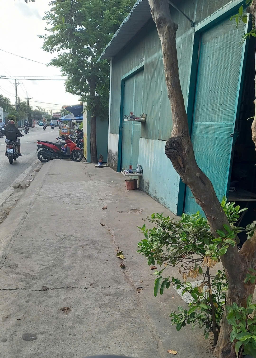 CHÍNH CHỦ Bán Nhà Vị Trí Đẹp Tại Nguyễn Thị Ngâu, Thới Tứ, Thới Tam Thôn, Hóc Môn, Hồ Chí Minh - Ảnh chính