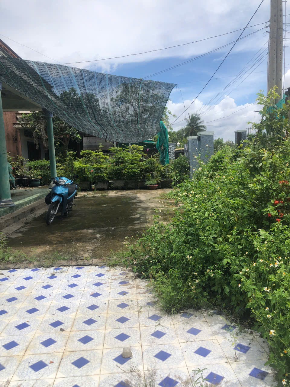 ĐẤT ĐẸP - GIÁ TỐT - Bán GẤP Lô Đất Tiềm Năng Tại Khu Phố Bình Quân 2, Phường Long An, Tây Ninh. - Ảnh 2
