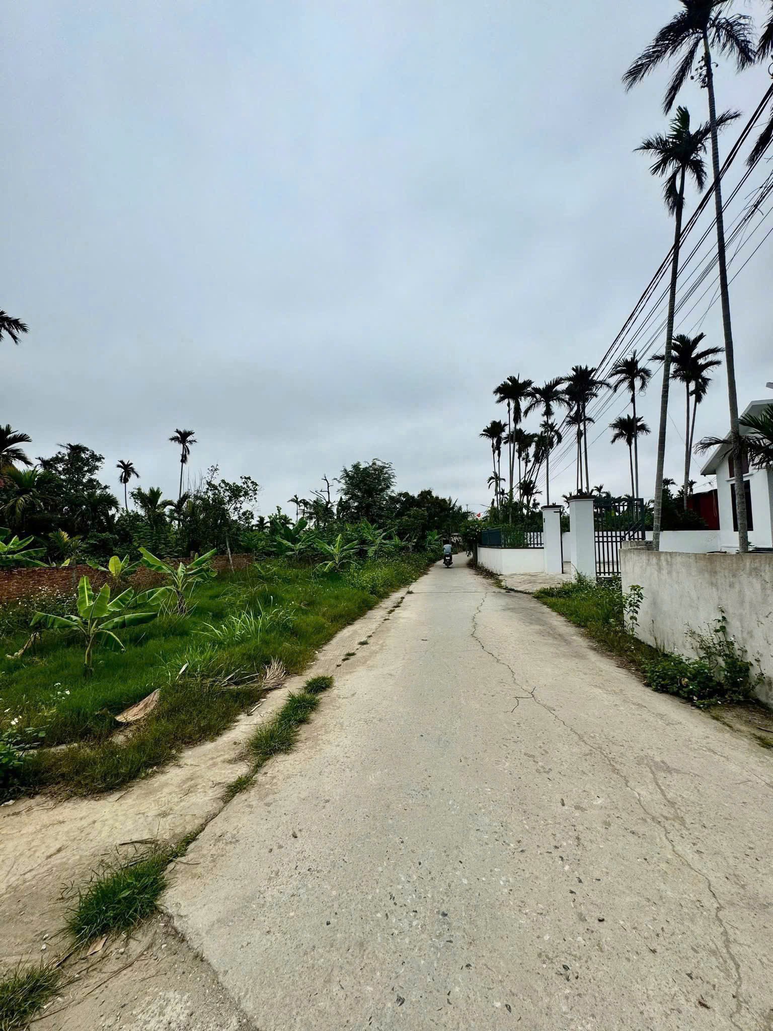 🚀 SIÊU PHẨM đất Hoà Nghĩa – Dương Kinh – Giá chỉ 6xx triệu - Ảnh 2